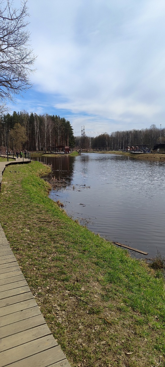 На фото  уточки и им хорошо