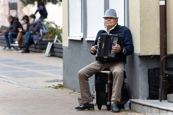 В Балтийске хотят запретить уличным артистам попрошайничать и исполнять песни иноагентов