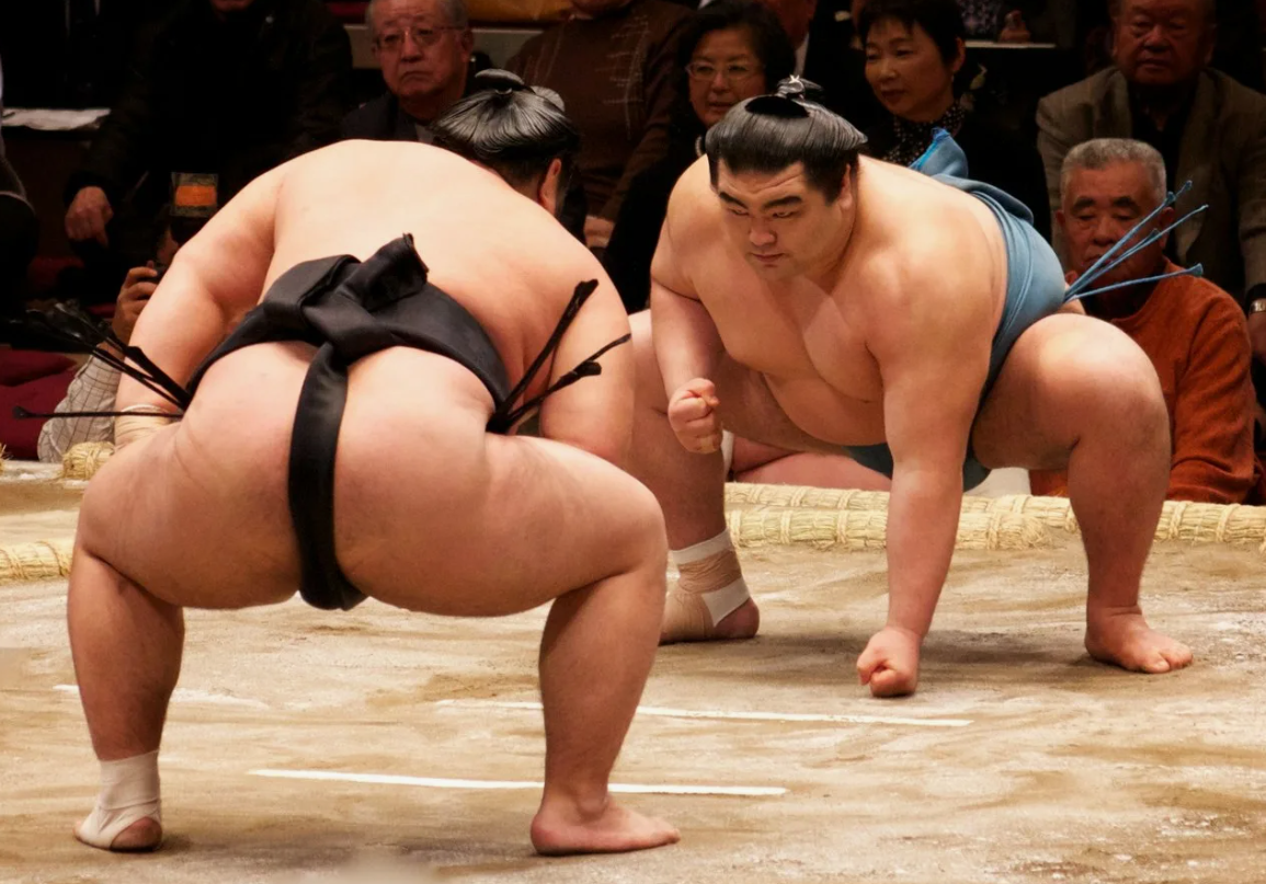 Колоритный народ эти сумоисты