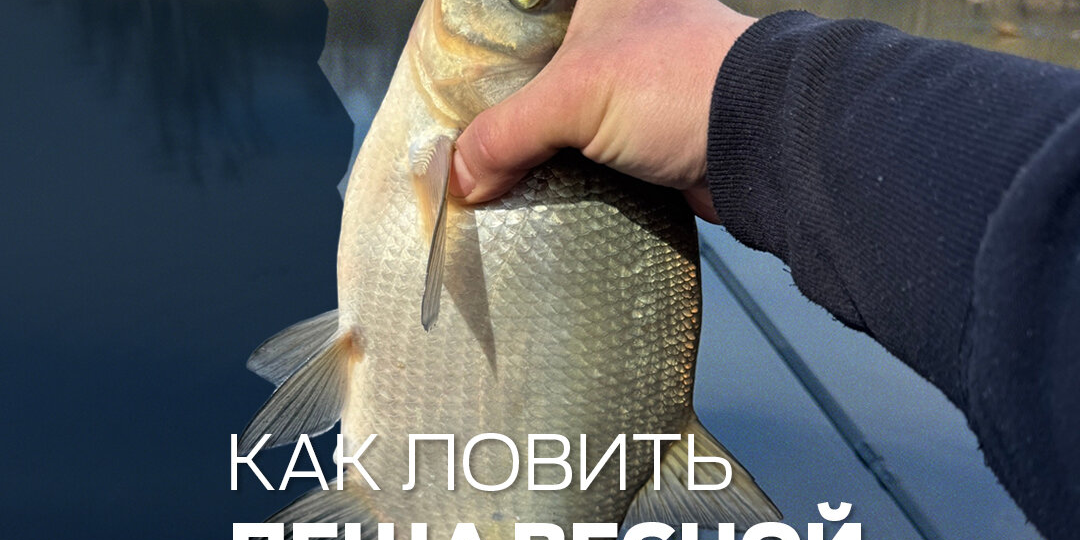 Советы по ловле леща весной