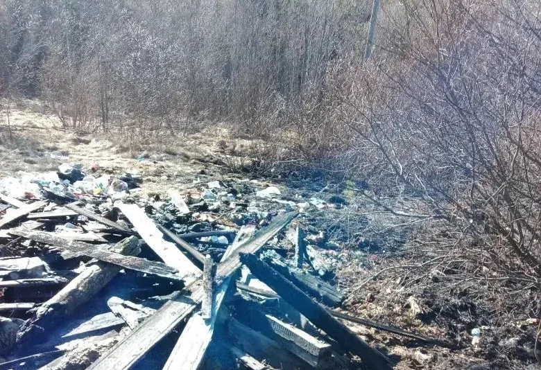 Пожарные спасли жилой дом от горящей сухой травы