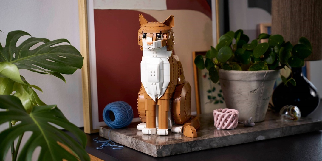 Знакомство с коллекционным набором Лего №21376: Рыжий кот