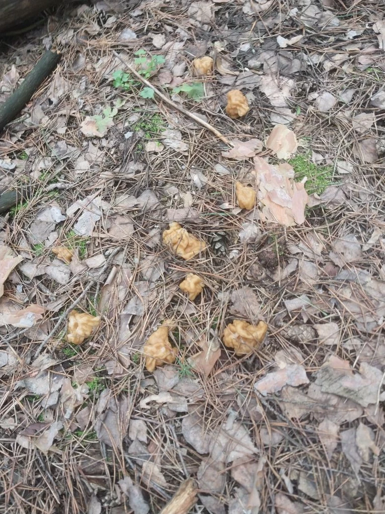 Фото Оксаны Бирюковой