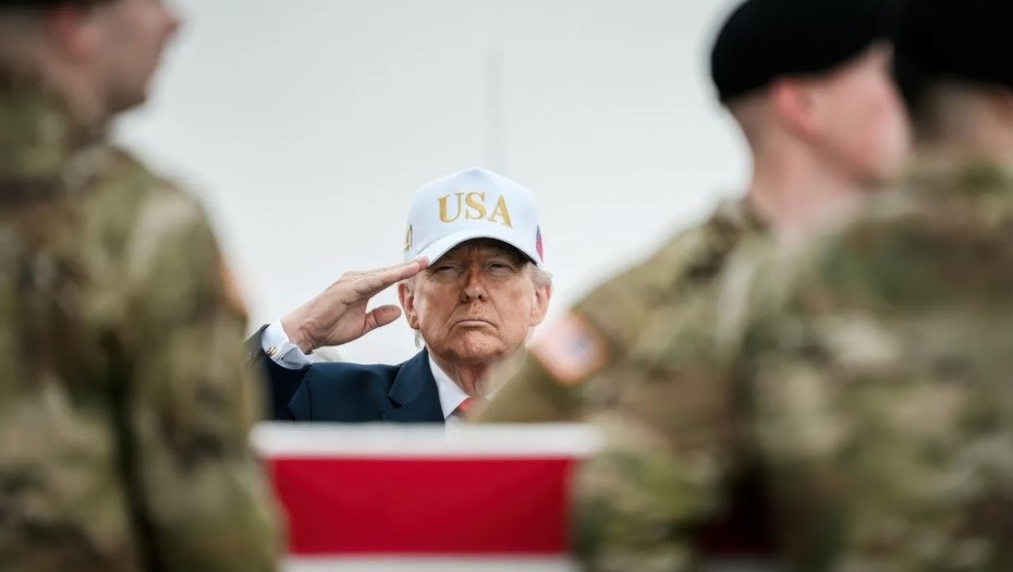    Автор фото: Robert V Schwemmer/Shutterstock/FOTODOM