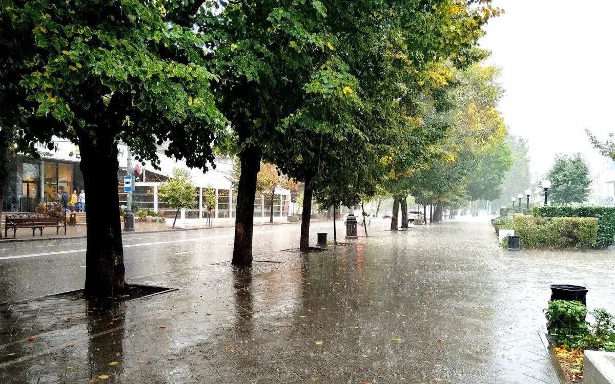    Фото Ольги Жердевой, «Кубань 24»