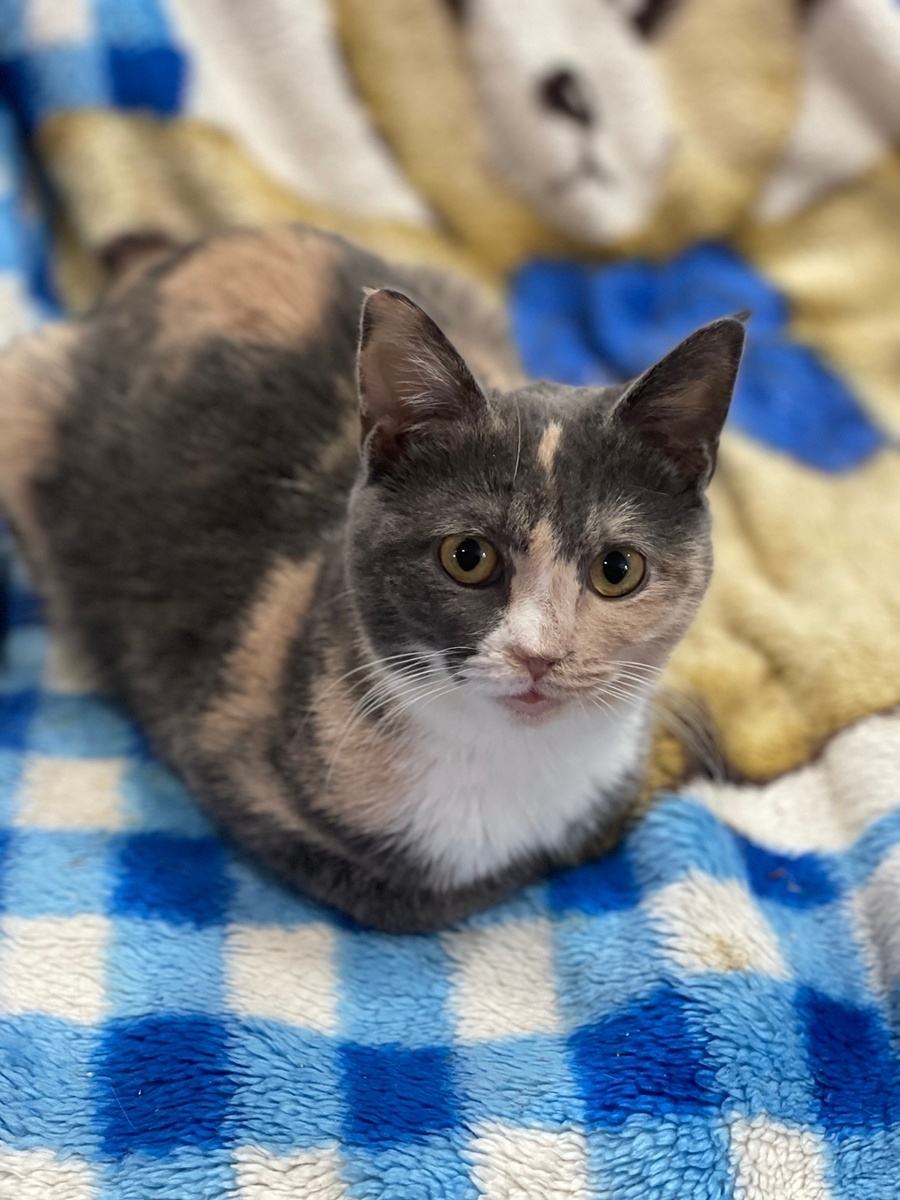 малышка Муиза