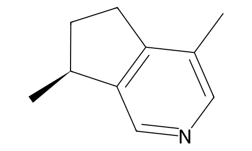 Фермент актинидин