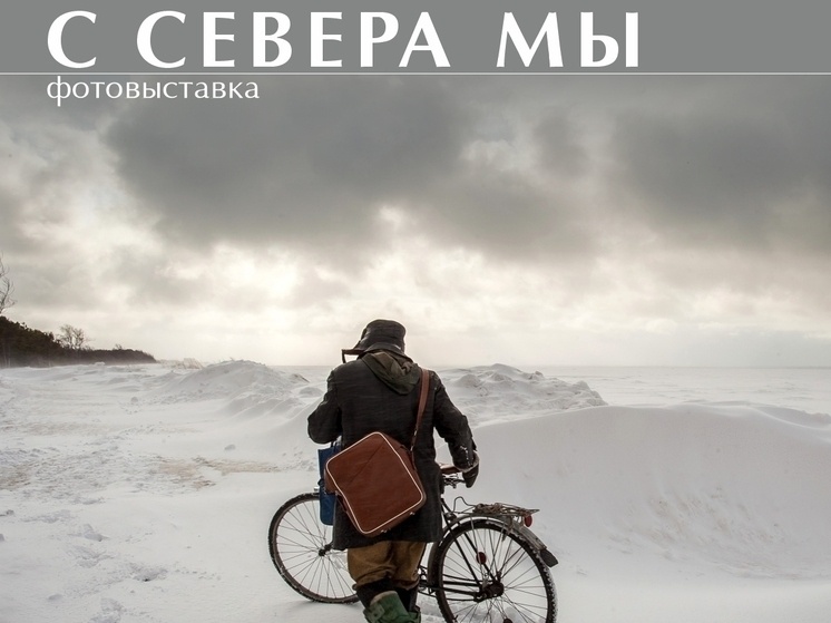     Изображение Музея ИЗО