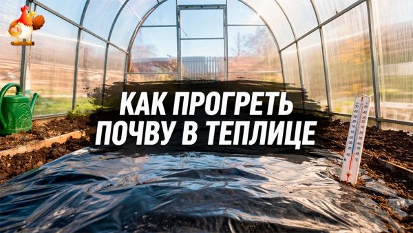 Как прогреть почву в теплице быстро, безопасно и без танцев с бубном 🌞💃🏽