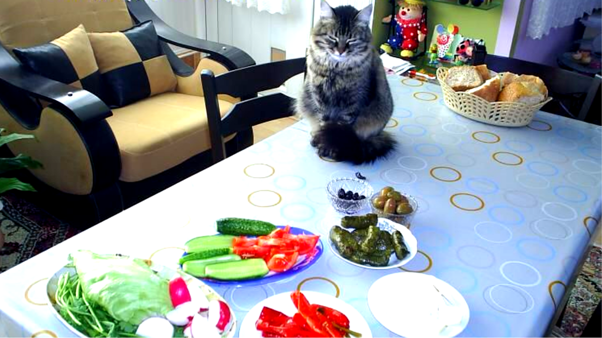 Кушайте, кушайте. Я  просто смотрю...чтобы вы не поперхнулись!