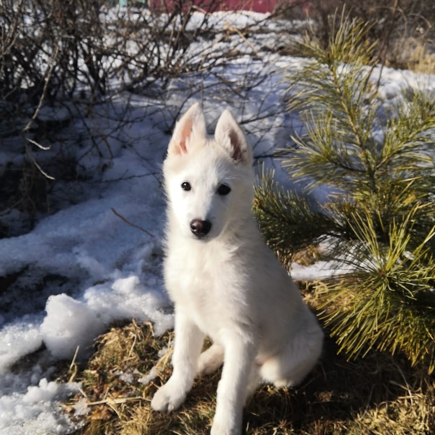 Наш выпускник