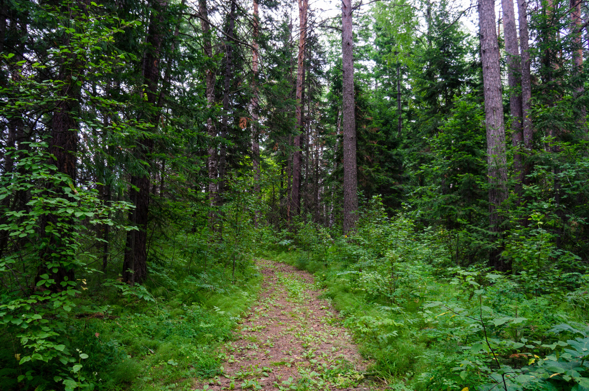 Здесь и далее фото из архива