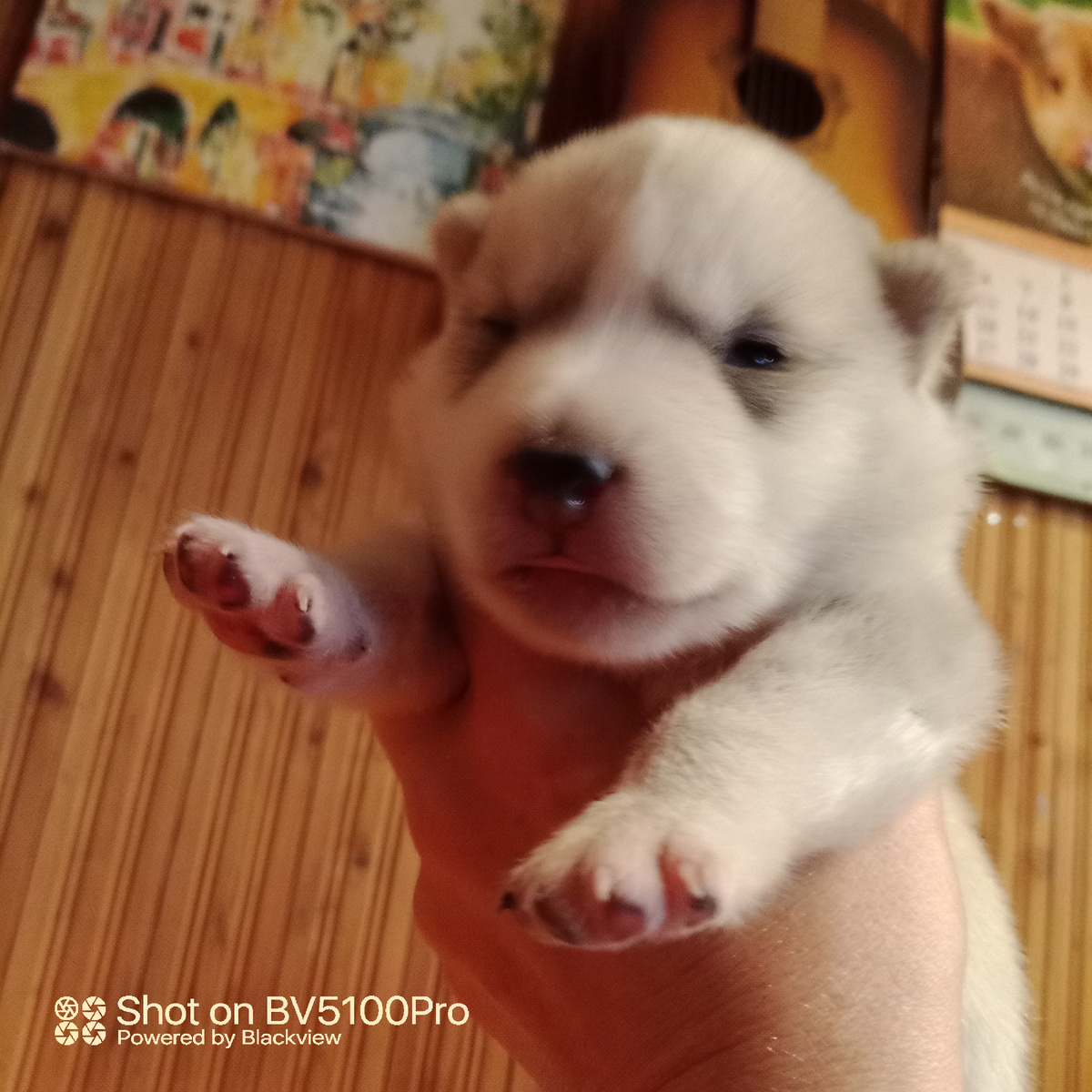  До "прикуса" еще надо дорасти