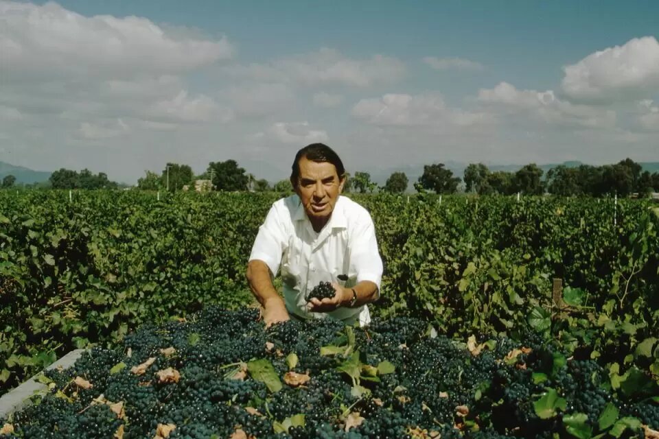 Андрей Челищев