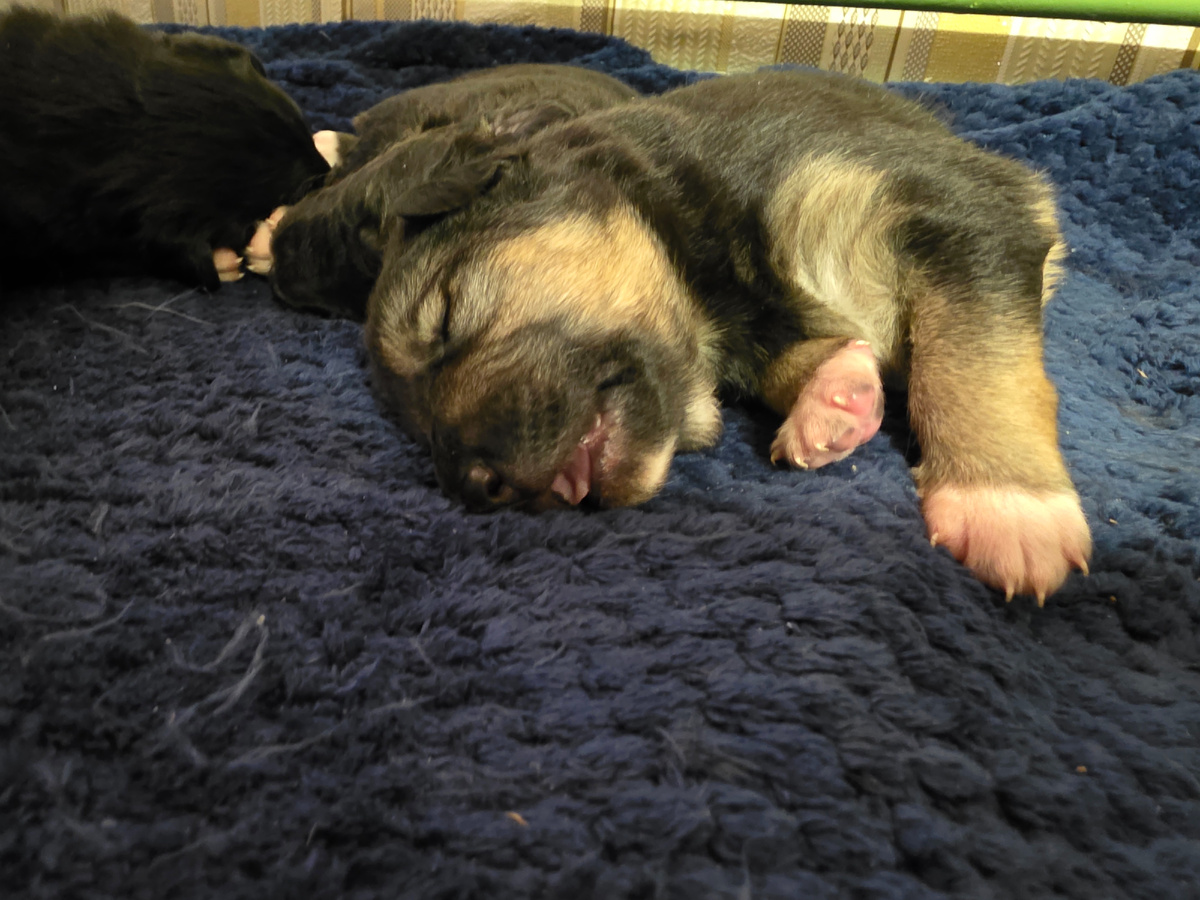 Фото автора. Благодаря вам друзья они в тепле и сытые.