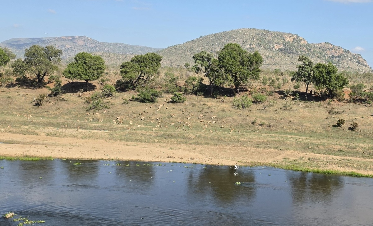 Из личного архива