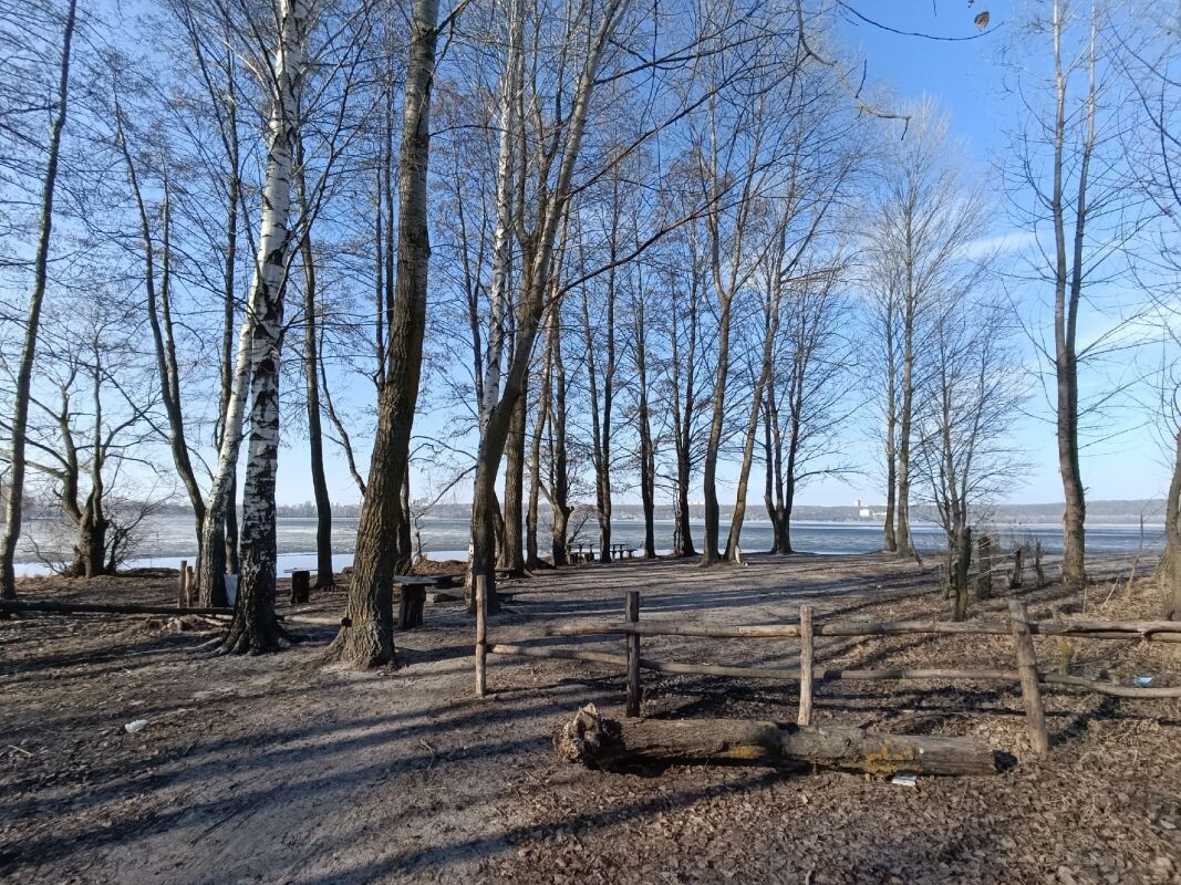    Фото: Татьяна Демидова