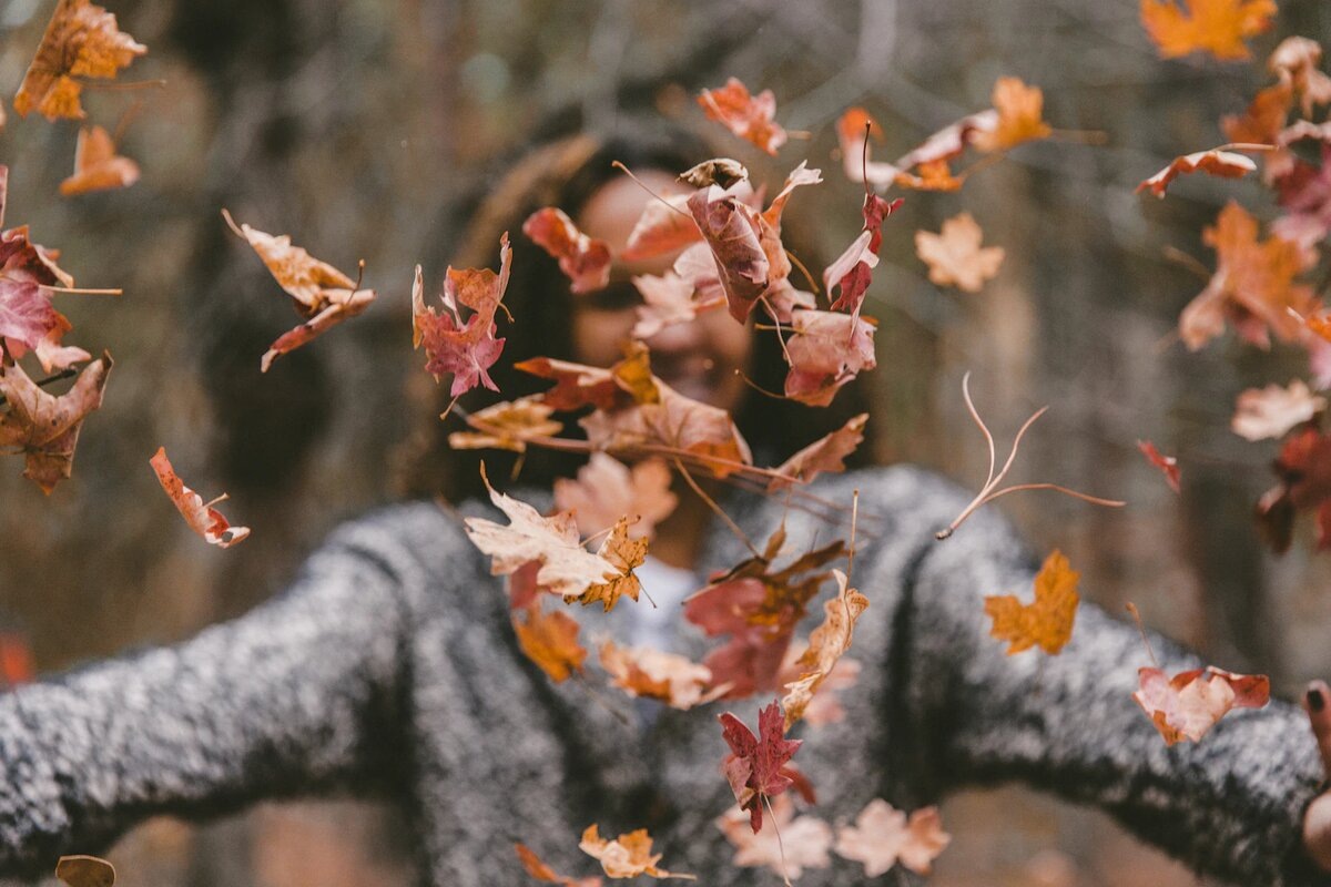 фото Jakob Owens