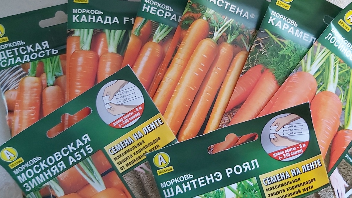 Фото автора. Упаковки семян моркови на ленте