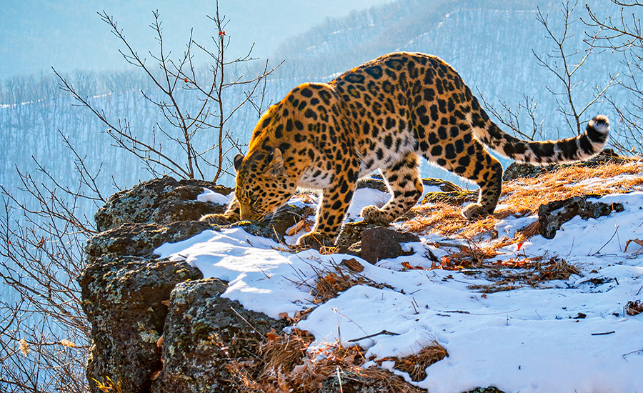    © Юрий Смитюк/ТАСС