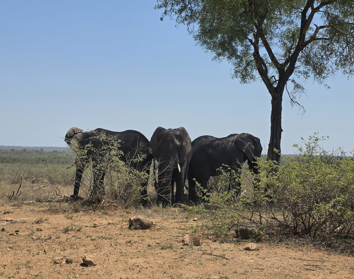 Из личного архива