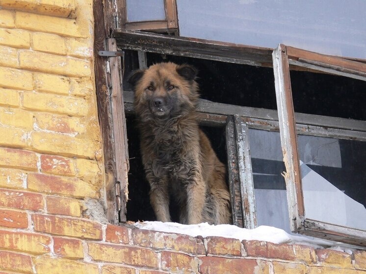     Фото: архив МК в Питере