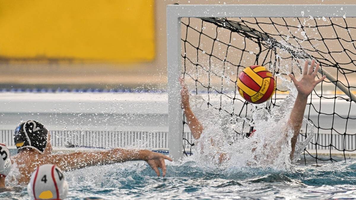    Фото: Shutterstock