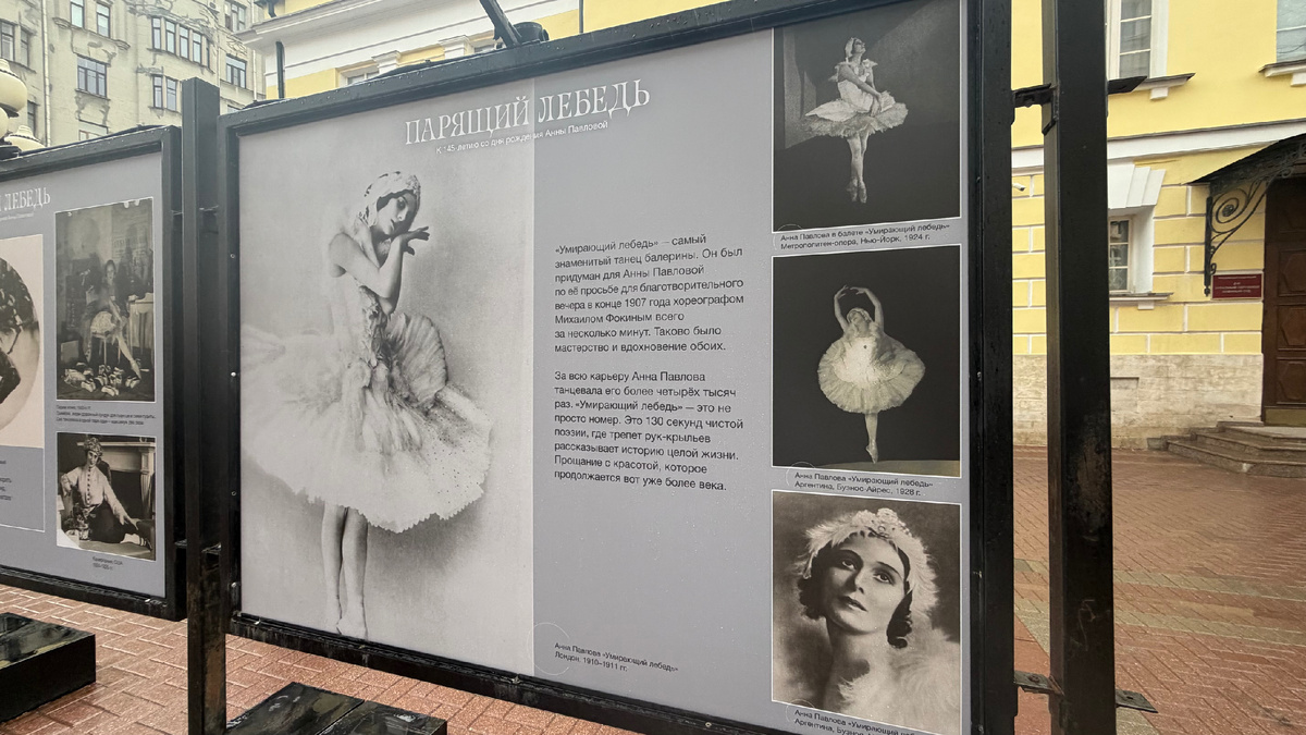 Фото автора канала