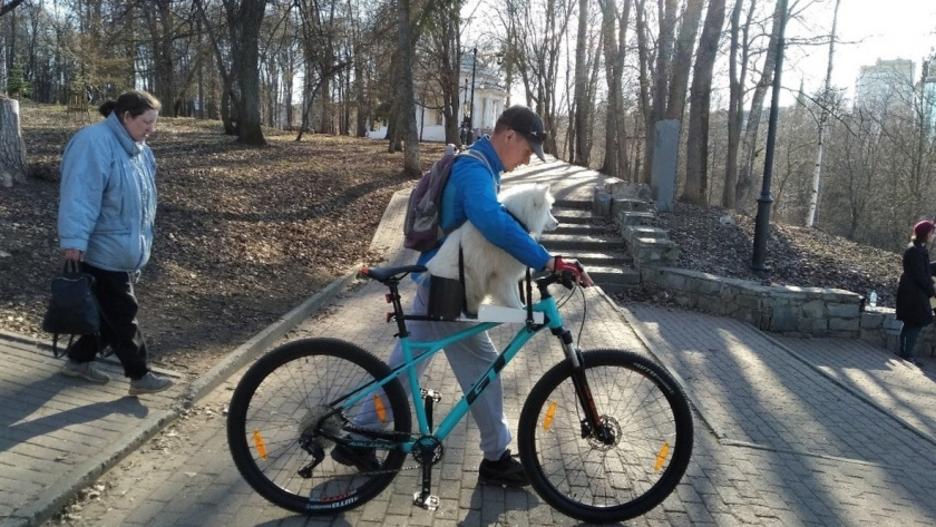    Фото: progorod43.ru