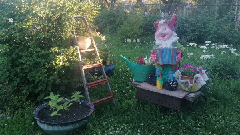    Иллюстративное фото из архива редакции