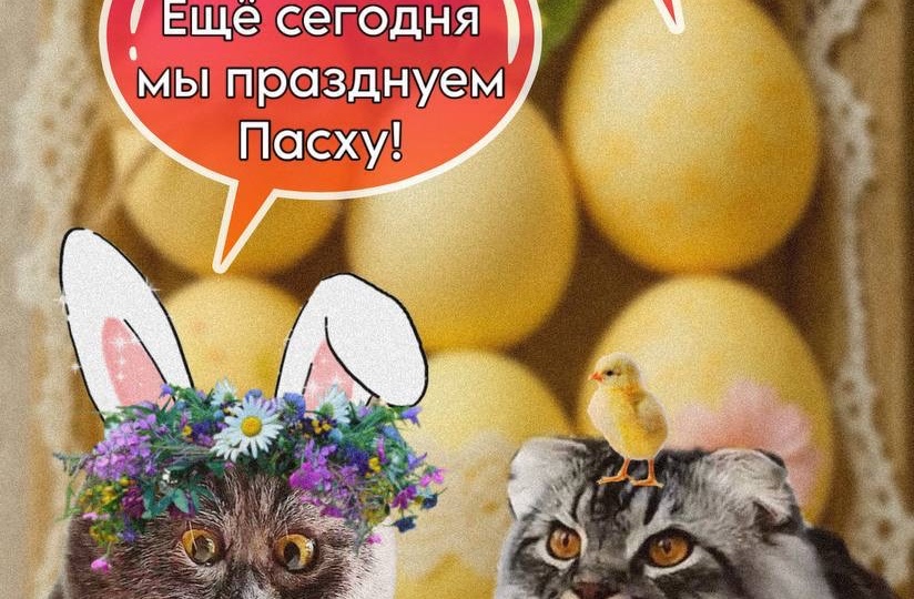 Со светлым праздником Пасхи!