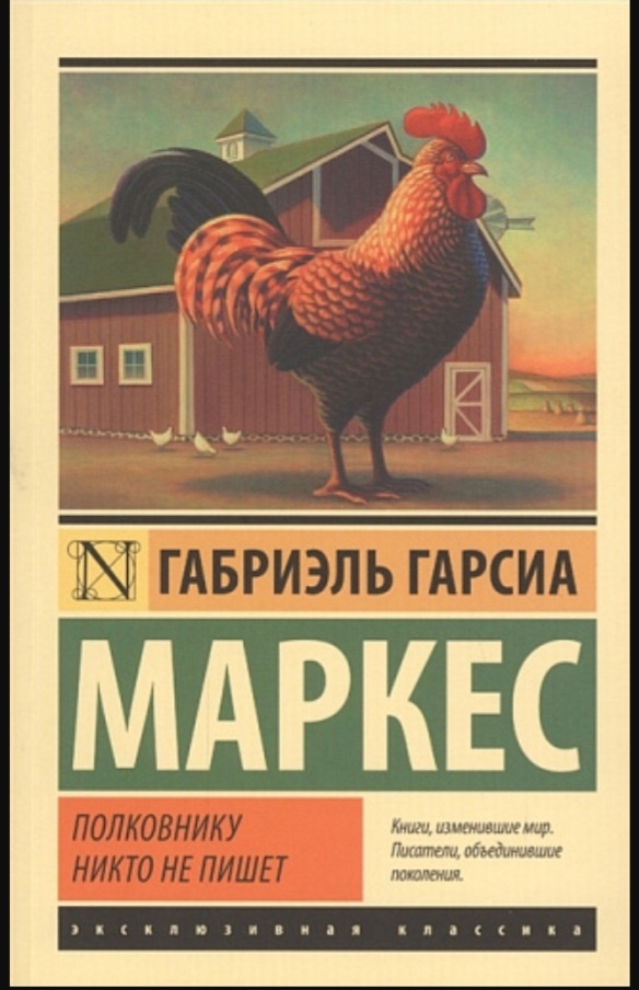 Фото из открытых источников. 