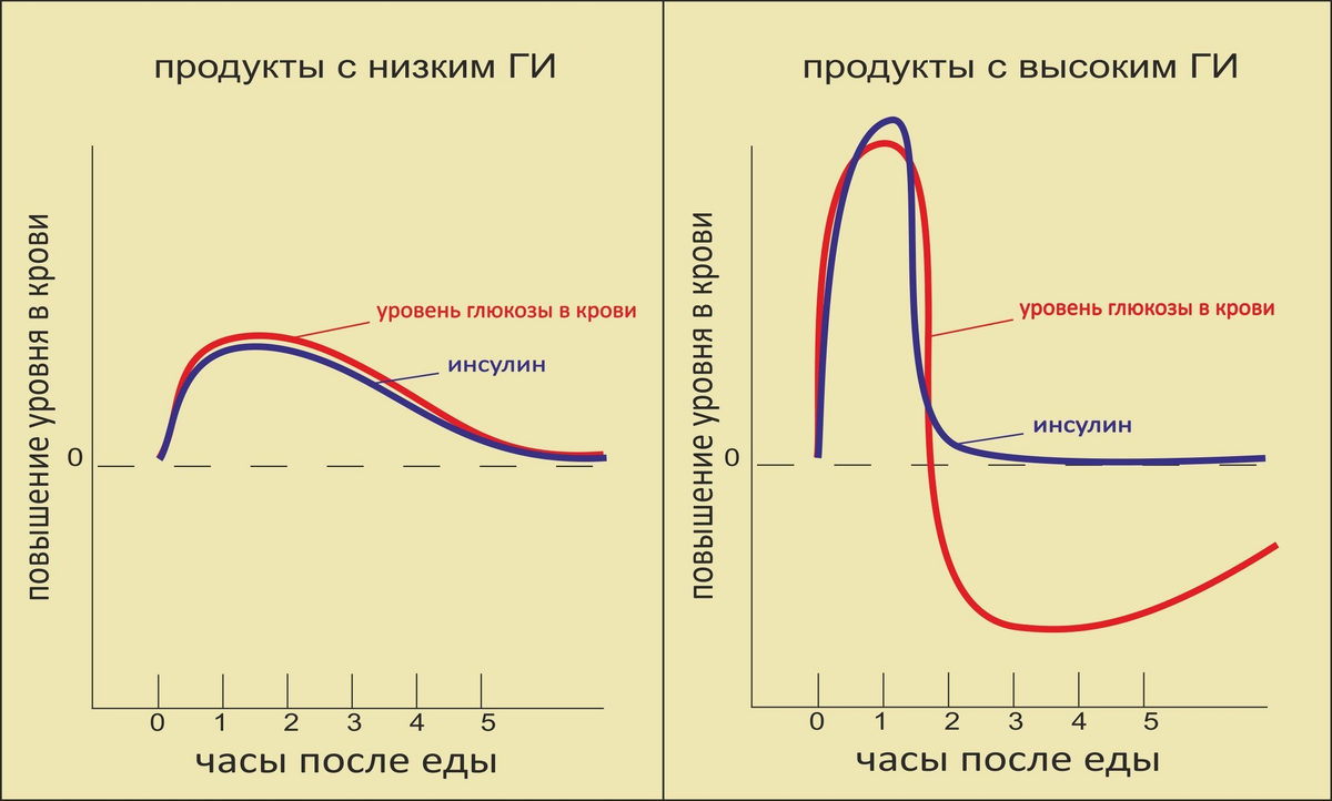 На графике показано, что быстрые углеводы дают резкий скачок инсулина и такой же резкий его спад. В итоге человек становится даже более уставшим спустя короткое время - 1-2 часа. Долгие углеводы позволяют держать стабильный уровень сил на протяжении 4-5 часов.