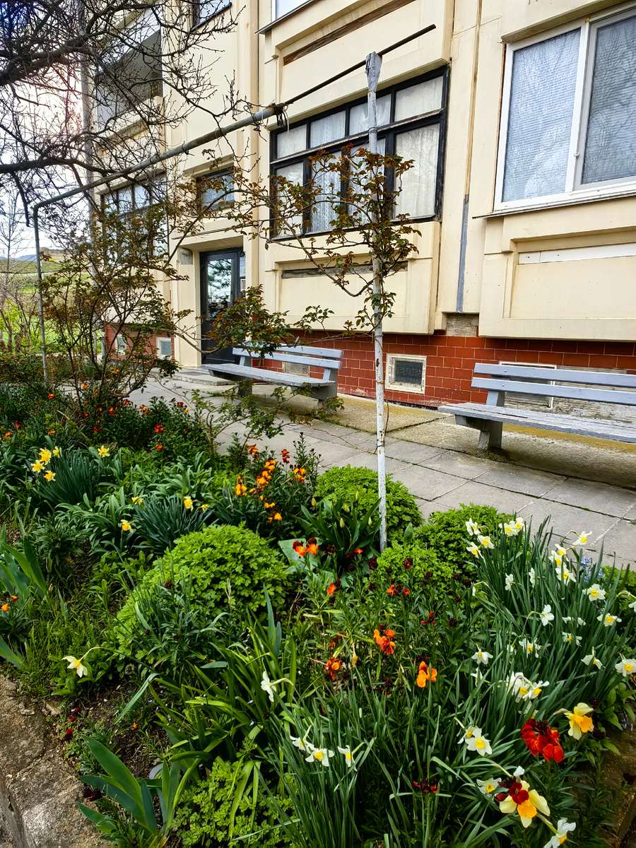 Фото автора канала