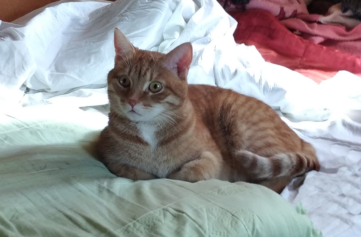 лличное фото