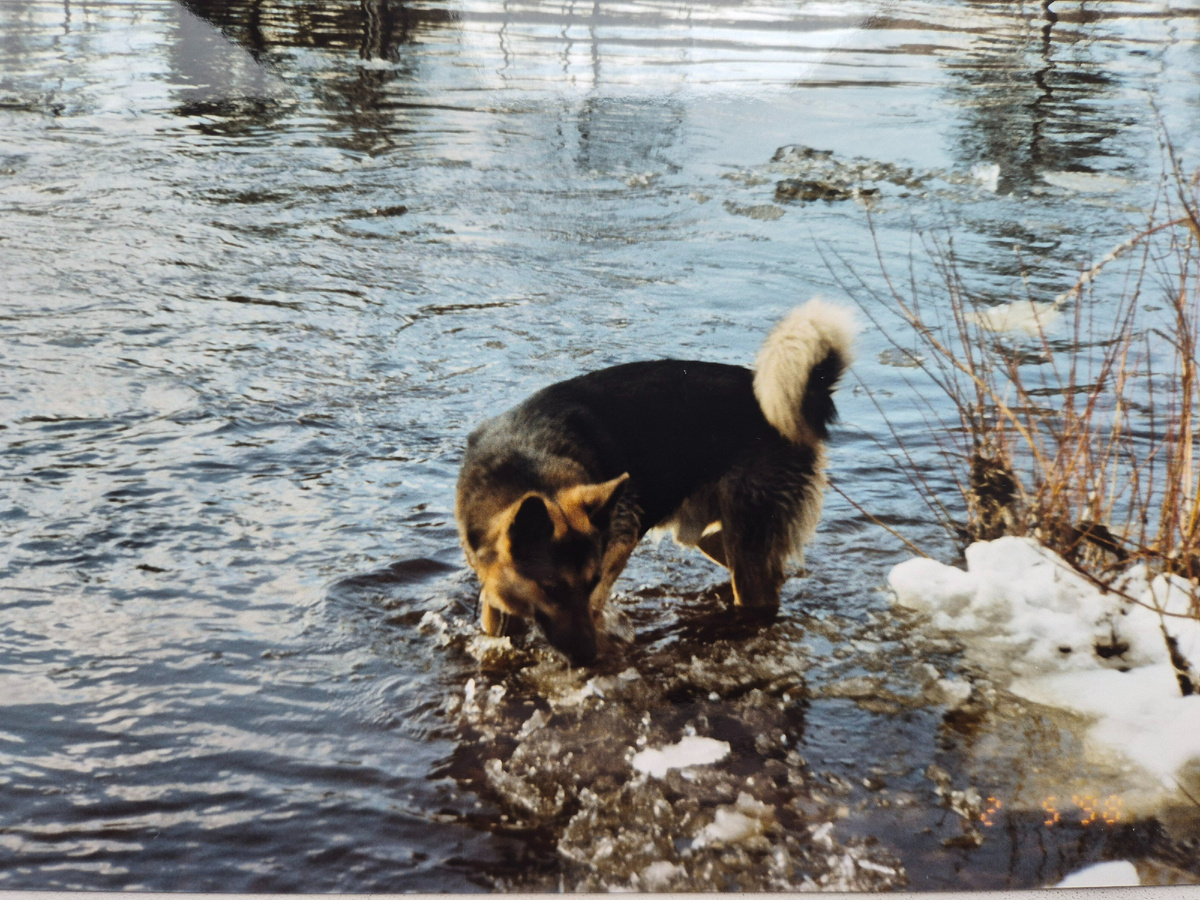 5.2.98 Последние льдины на реке Тында. Фото из архива автора. 