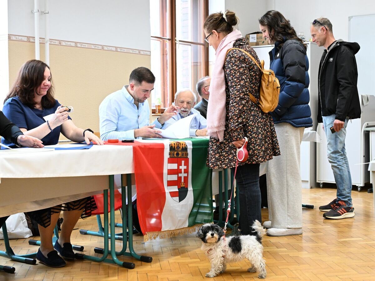    Парламентские выборы в Венгрии | © РИА Новости / Екатерина Чеснокова