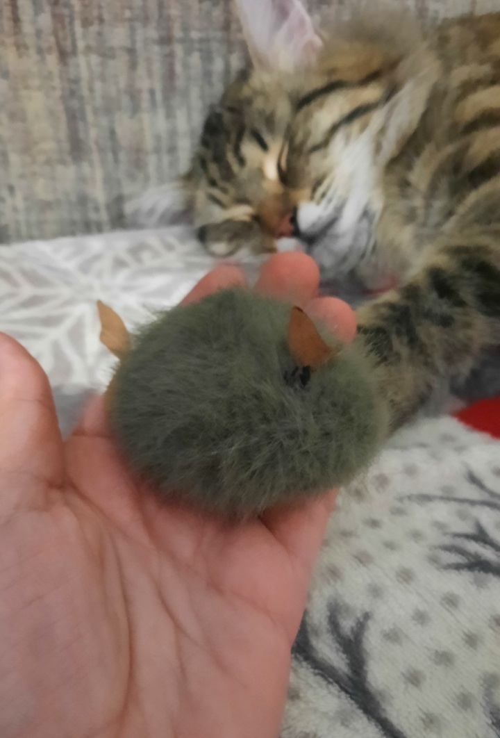 100 рублей стоили 