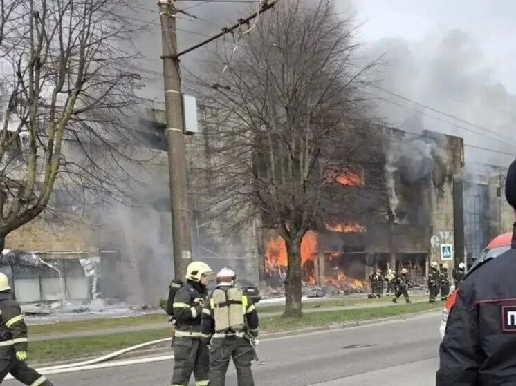     Фото: официальный MAX-канал МВД по Калининградской области