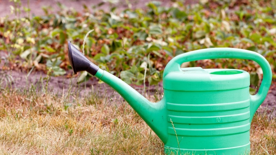 ����� ���������� �������� ��� ������ � ���� ��� ����������, ��� ������, ��� ����� ������� ��� �����.