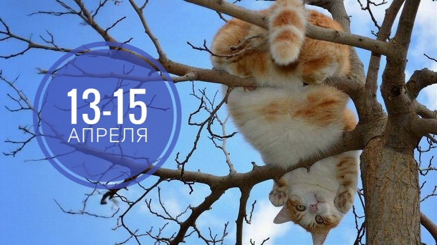 Нумерологический прогноз на 13-15 апреля 2026: от завершения к лидерству и гармонии — маршрут трёх первых дней недели