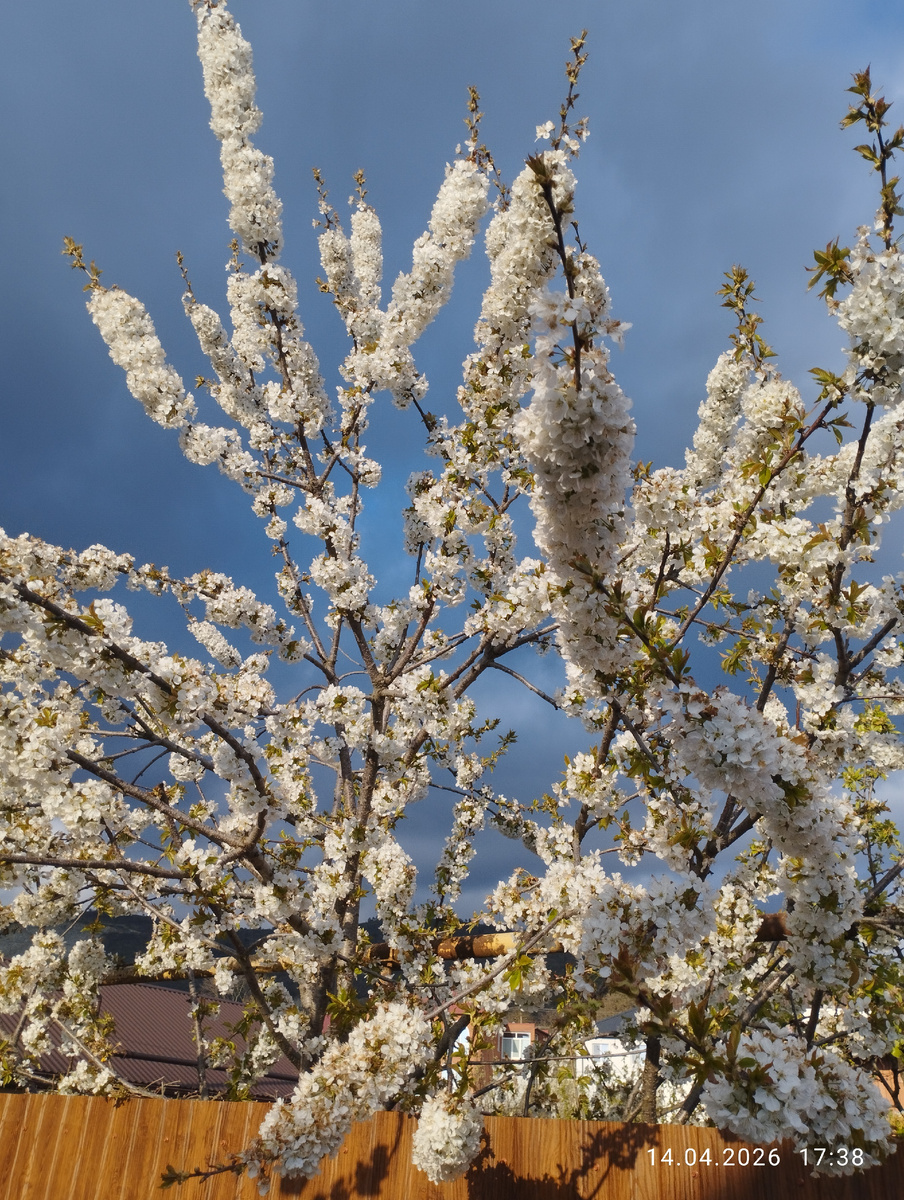  Если люди годами не могут найти своего ребенка, может они не особо хотят этого ребенка. Ну вот как можно годами искать и не найтисвою лялька.Да в нашем  маленьком городе очередь на детей из роддома - более полусотни семей. Это ж сколько лет надо выжидать когда какая нибудь кукушка откажется от своей кровиночки. Хотя говорят, что таких хватает. 