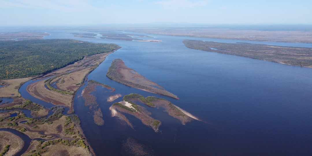В Амуре живёт рыба тяжелее тонны. А это только одна из одиннадцати вещей, которые учёные не могут объяснить