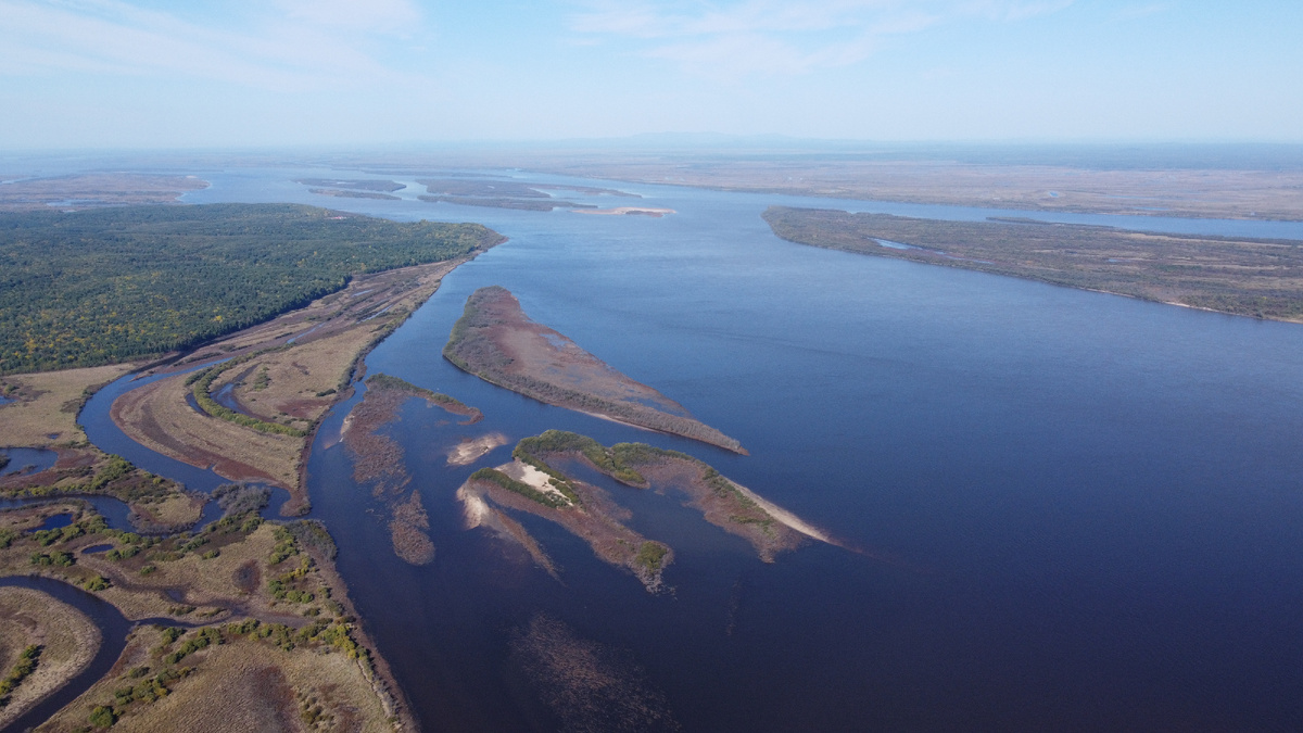 Пойма реки Амур с высоты птичьего полета. Хабаровский край