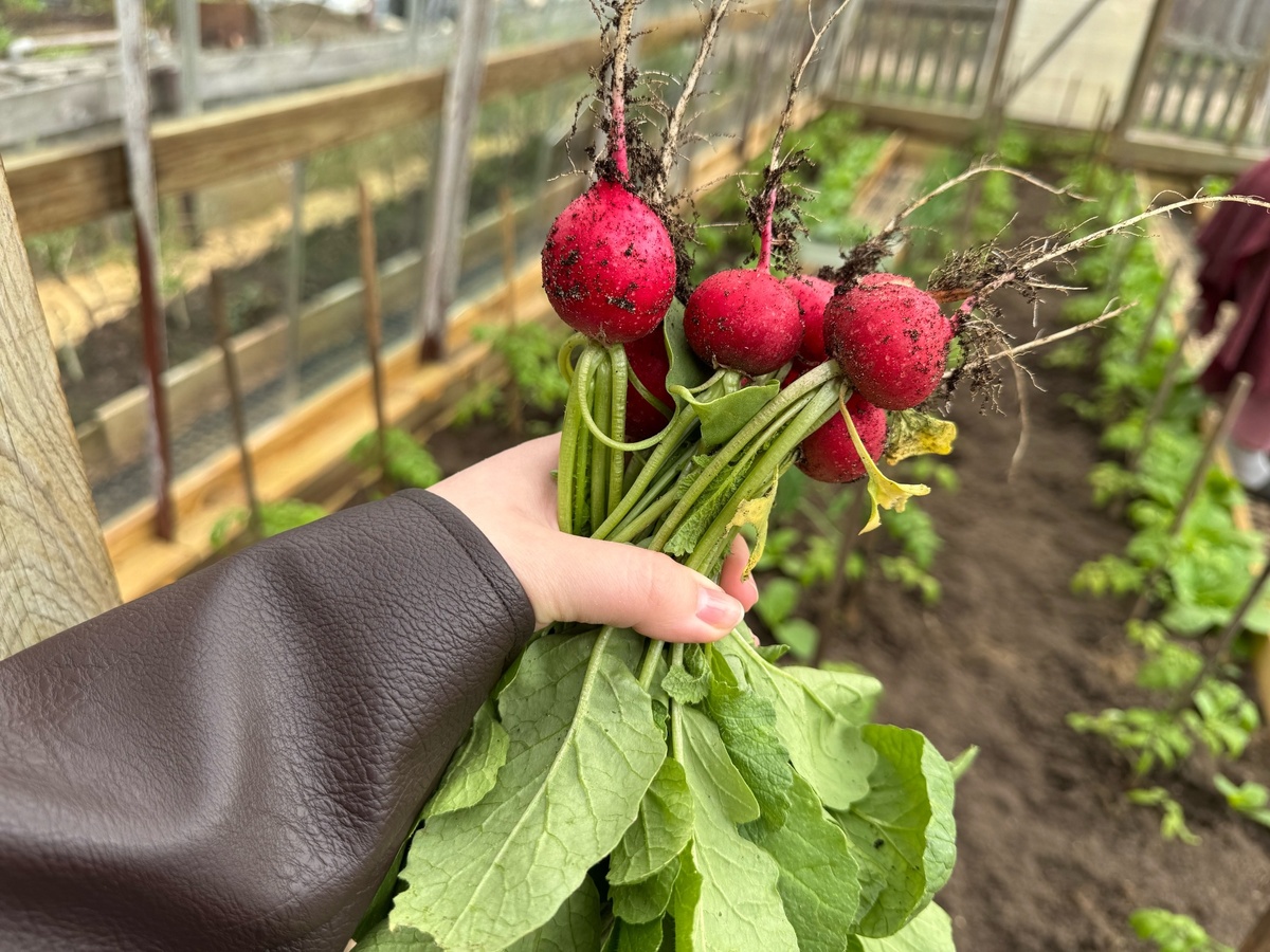    Архив редакции