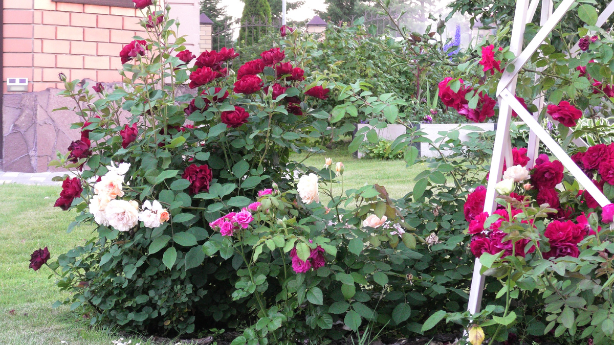 Омаж Барбара на фото слева