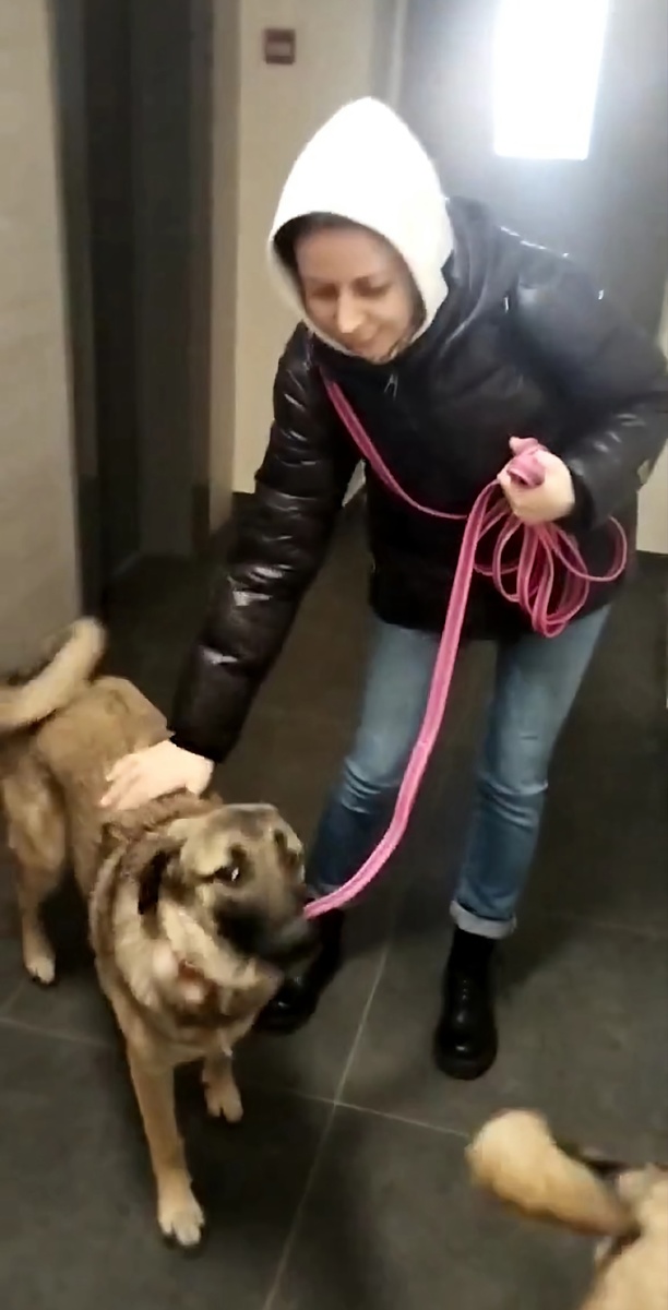 Ну понятно ведь, что это я и собака)