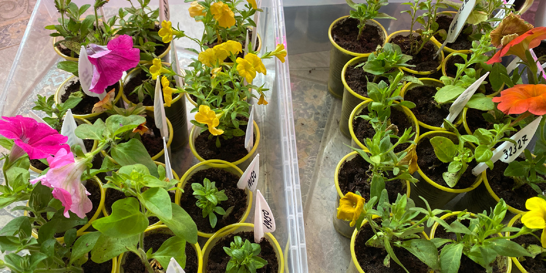 Дела текущие. Вторая декада апреля