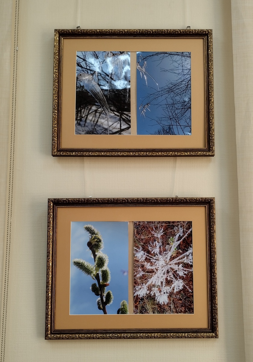 Фото Л.М.Кабанова с выставки