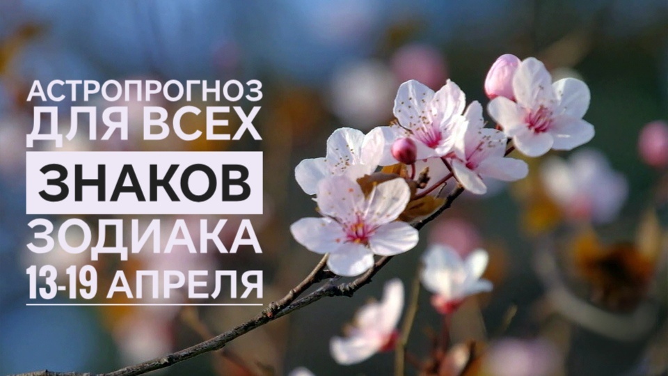 Гороскоп для всех знаков Зодиака на неделю с 13 по 19 апреля 2026: весна в разгаре, а вы — в центре своего маленького мира